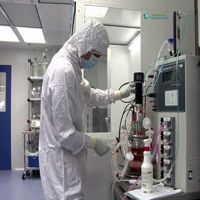 genetic-lab-test-bangkok-jeaw