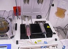 copd-therapy-stem-cells-thailand copd-therapy-stem-cells-thailand