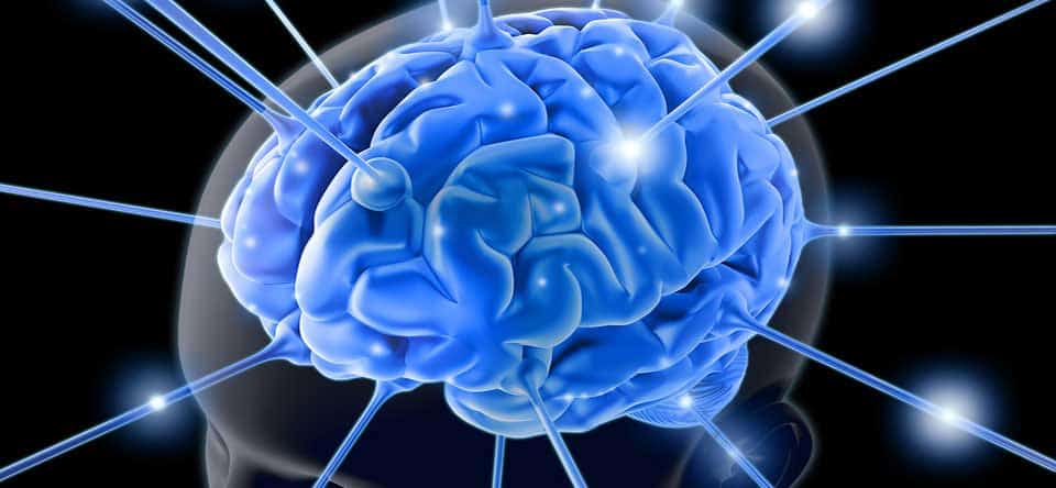 stem cell treatment brain injury