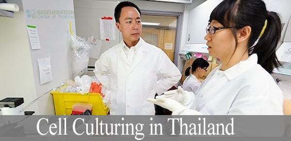 cell culturing thailand