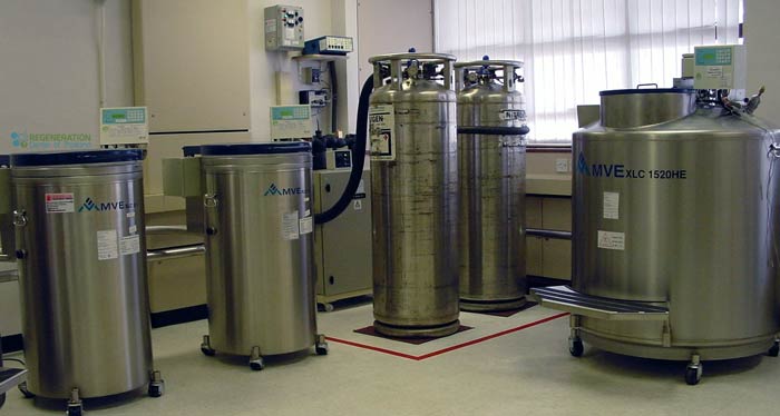 cord blood stem cell bank bangkok