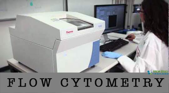flow cytometer machine thailand bangkok