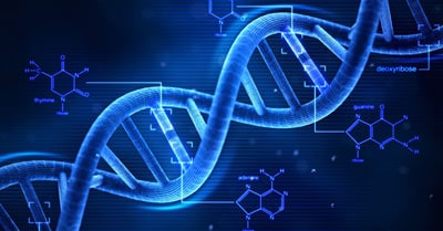 doublehelix