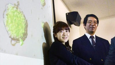 dr-yoshiki-sasai-haruko-obokata