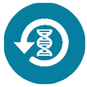 anti aging cell therapy