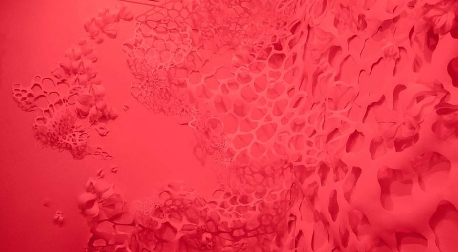 heart cells