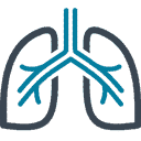 lung pulmonary