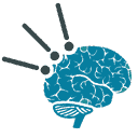 neurology brain spinal