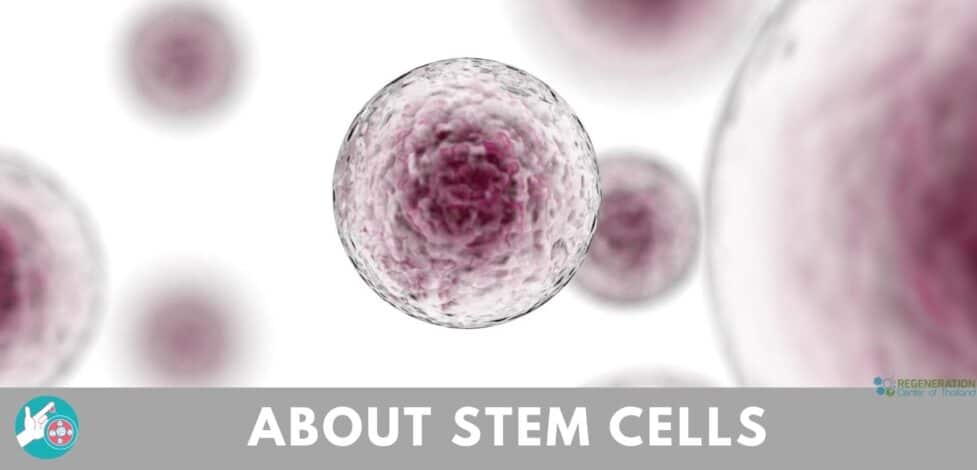 about stem cell therapy
