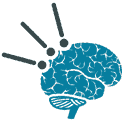 neurology brain spinal cord