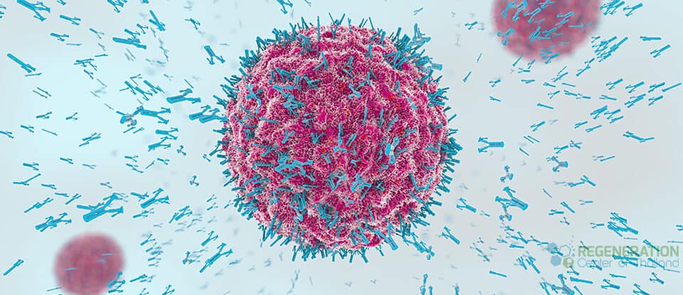 Targeting cancer stem cells from a metabolic perspective